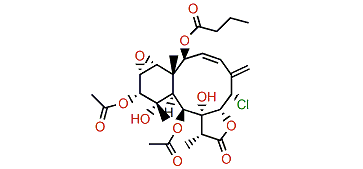 11-Hydroxybrianthein Y